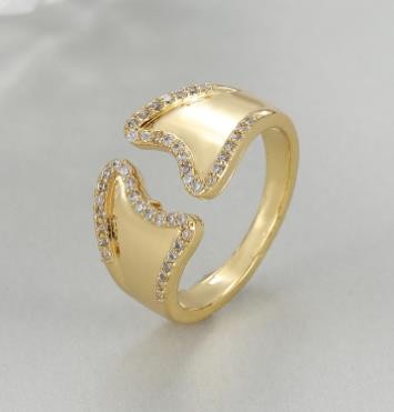 Rings and Earrings